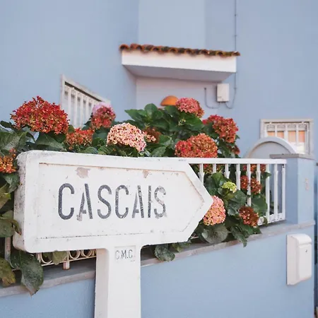 Surf Cascais - Surf * Alcabideche